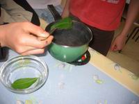 On sort la feuille de .. Ecoles du Monde - 